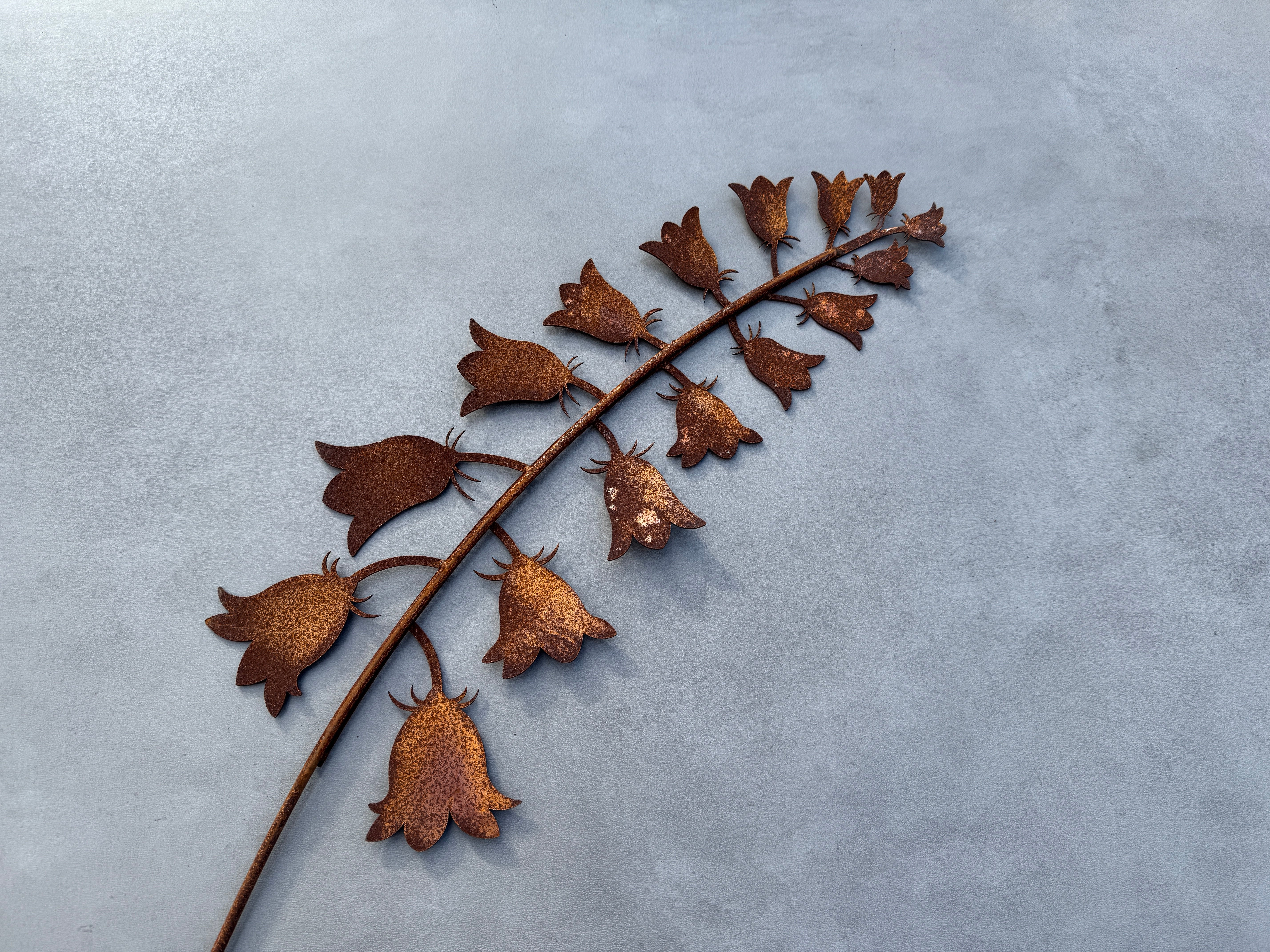 Campanule