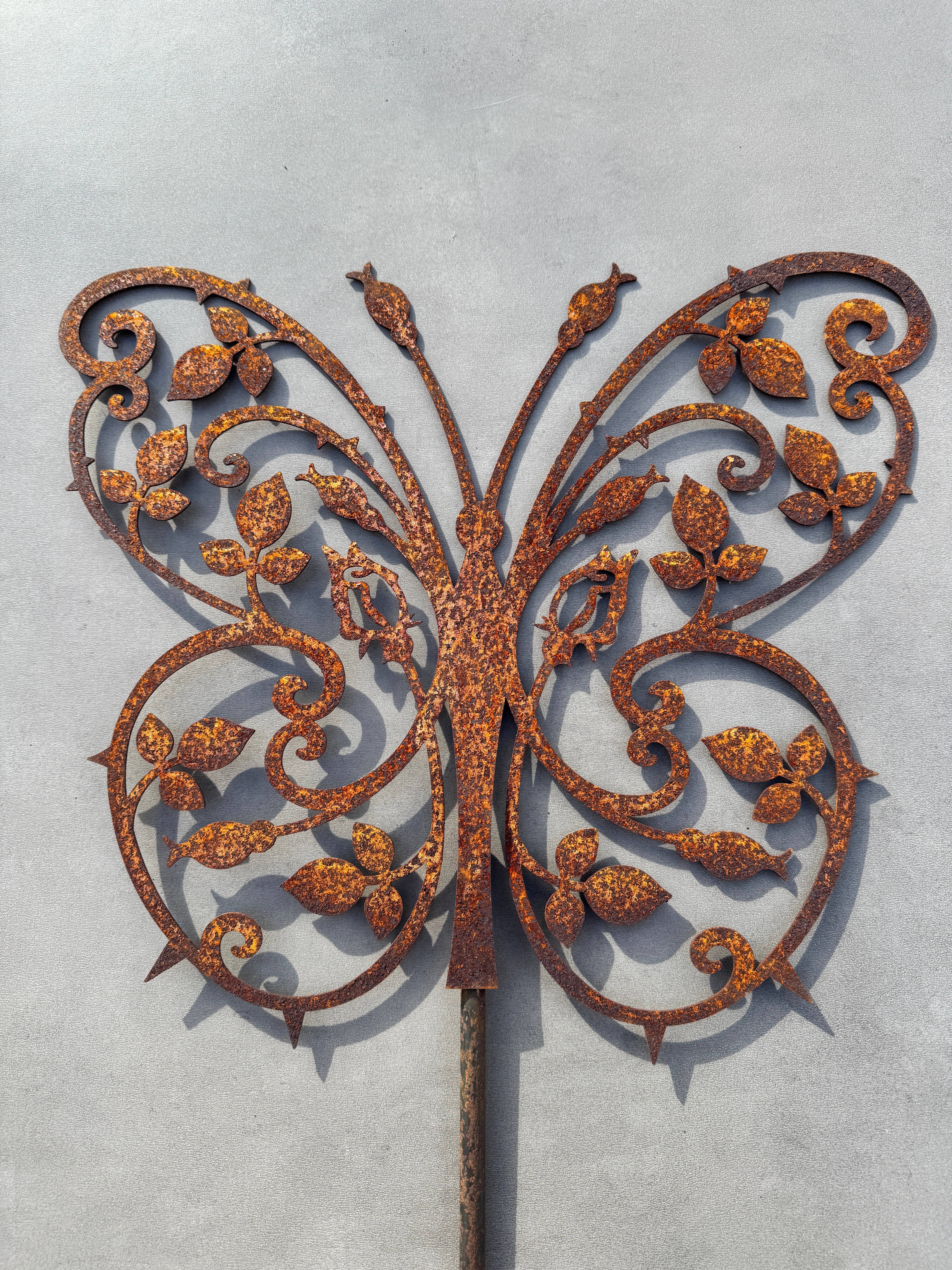 Papillon