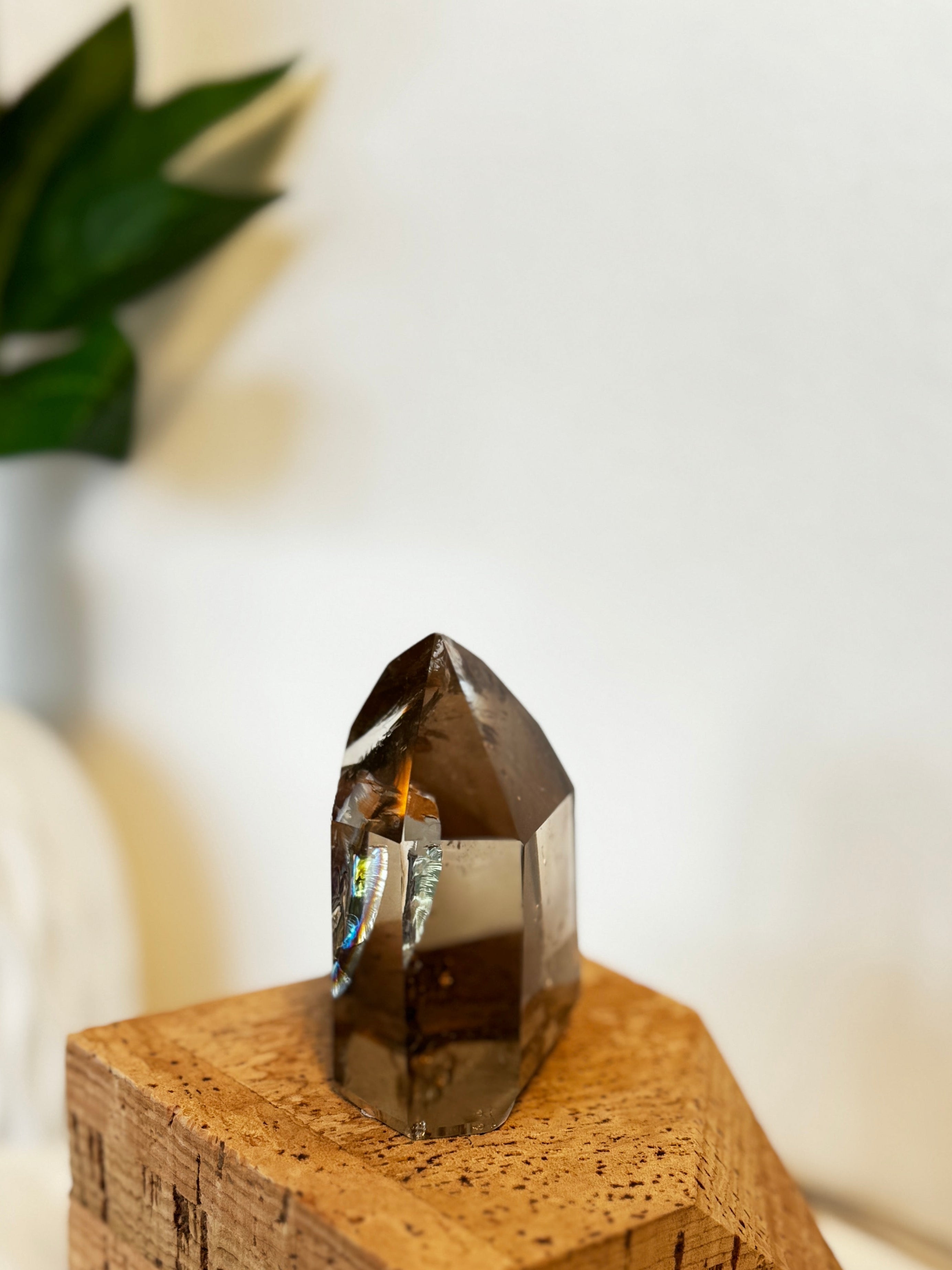 Pointe de Quartz Fumé "Extra"